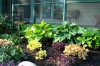 Compost 3