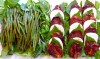Tomatoes and green beans