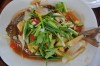 A guide to Koh Samui