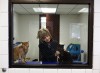 New home is grand prize for this pet show