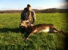 Monster Doe: Huge female deer recently harvested in Cedar Lake