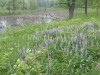 Region's ecological history is etched in the landscape