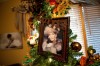 Tree Tribute
