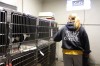 Humane Society of Hobart hopes to find new homes for 33 cats