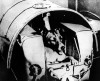 Laika the Space Dog
