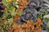 Chicago Flower and Garden Show