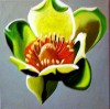 Hobart Arts League | Nicki Filarski
