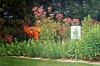 Chesterton educator lectures about restoring the earth's eco-balance with native plants