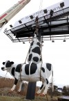 Chick-fil-A Ad