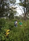 Scientists, students converge on Newton County for bioblitz
