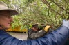 Valparaiso pushes back against invasive plants