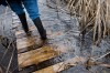 Japan's nuclear disaster evokes memories of Lake Michigan fight