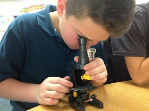 Mrs. Bullington’s Fourth Grade Scientists