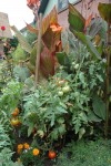 Flavorful landscapes: a growing trend