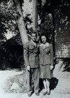 111212-nws-ILvetshistory