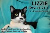 Pets of the week