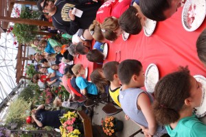 The Strawberry Madness Festival celebrates 10 years of sweetness