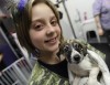 Rescued puppies groomed for new homes