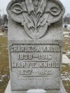 Charles A. Knoll, 1838-1916