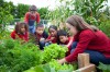 Liberty Elementary | Teaching