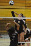 Girls Volleyball LaPorte Sectionals