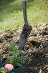 Starting to compost is as simple as raking leaves into a pile