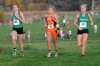 Alison Mundell, Valpo cross country