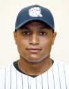 Mike Reese