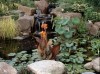 Gardening Water Features