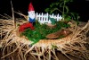 Gnome