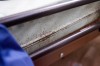 Bed Bug Inspection