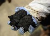 Handful of bitumen