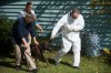 Ailing dogs and cats removed from Salt Creek Commons home