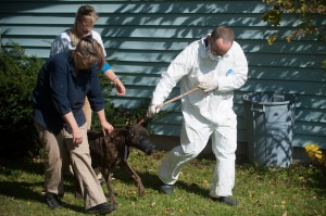 Ailing dogs, cat removed from Salt Creek Commons home