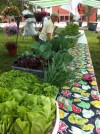 Market and movies