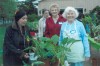 Club plans plant sale and garden walk
