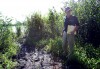 Forest Preserve works to retore Eggers marsh in Hegewisch
