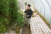 Matthew's Nursery Aquaponics