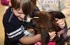 Organizations unite at Be Kind to Animals Celebration at Porter County Expo Center