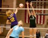 Whiting's Kaylyn Anderson, Gavit's Vanessa Skierkiewicz