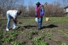 FORK IN THE ROAD: Local residents in food deserts yearn for greater access to fresh food