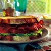 Bacon Nation