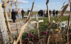 Family and friends mourn those lost in Flight 4184