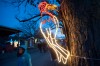 118112-nws-POlights