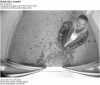 Police seek help in finding suspect in attempted theft