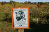 Area way stations wait to welcome monarchs