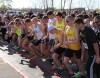 Ready for the 2013 Ringing In Spring Race