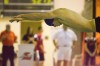 Chesterton sweeps events at LaPorte Invitational