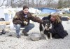 Lake County shelter volunteers lead animal rescue effort