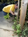 Volunteers fan out across region for Day of Caring